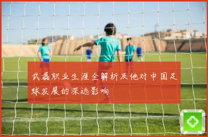 武磊职业生涯全解析及他对中国足球发展的深远影响