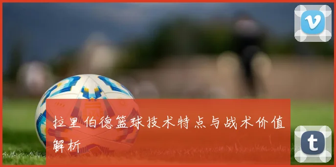 拉里伯德篮球技术特点与战术价值解析