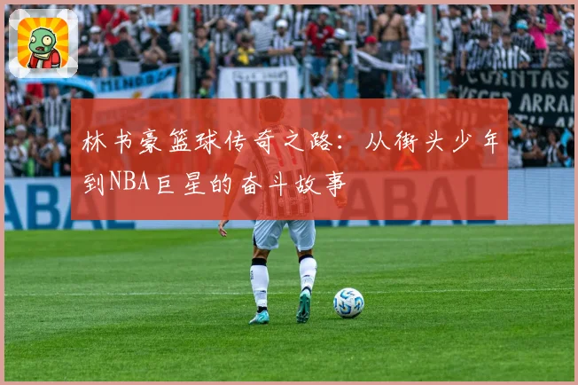 林书豪篮球传奇之路：从街头少年到NBA巨星的奋斗故事