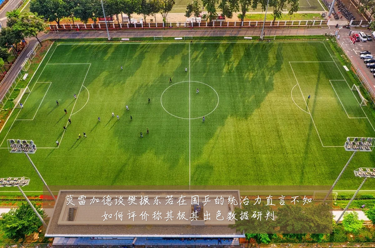莫雷加德谈樊振东若在国乒的统治力直言不知如何评价称其极其出色数据研判