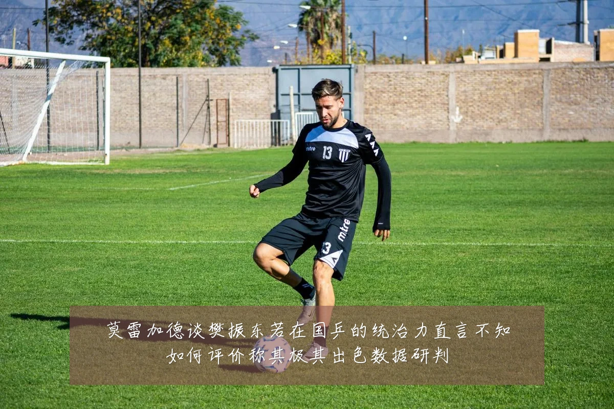 莫雷加德谈樊振东若在国乒的统治力直言不知如何评价称其极其出色数据研判